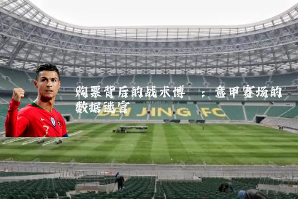 购票背后的战术博弈：意甲赛场的数据迷宫